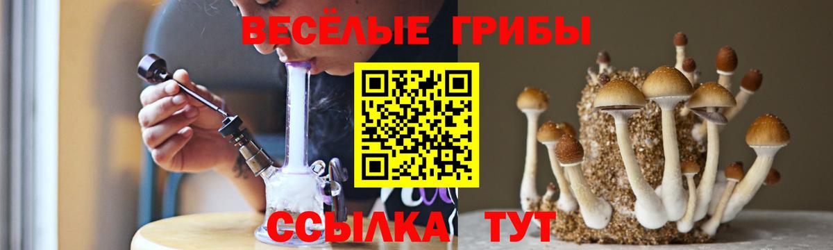 Галлюциногенные грибы ЛСД Тельмана